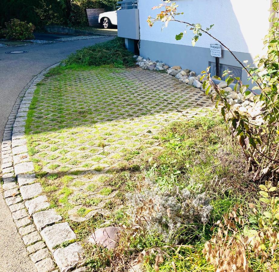 Seebrise Ferienwohnung, Auszeit In Ruhiger Lage, Bodensee Naehe, Privatparkplatz, Wlan, Smart Tv Rielasingen-Worblingen エクステリア 写真